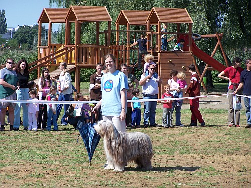 Fesztivál az Állatokért - Nyírségi Ősz 2009