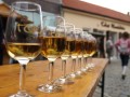Tokaji Borok Fesztiválja - Újra a bor kap főszerepet Tokajban