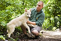 Gyermekáldás a kanadai fehér farkas családban