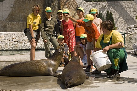 Idén is lesz Zoo-Suli a Nyíregyházi Állatparkban