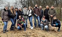Önkéntesek ültettek facsemetéket a Sóstói-erdőben